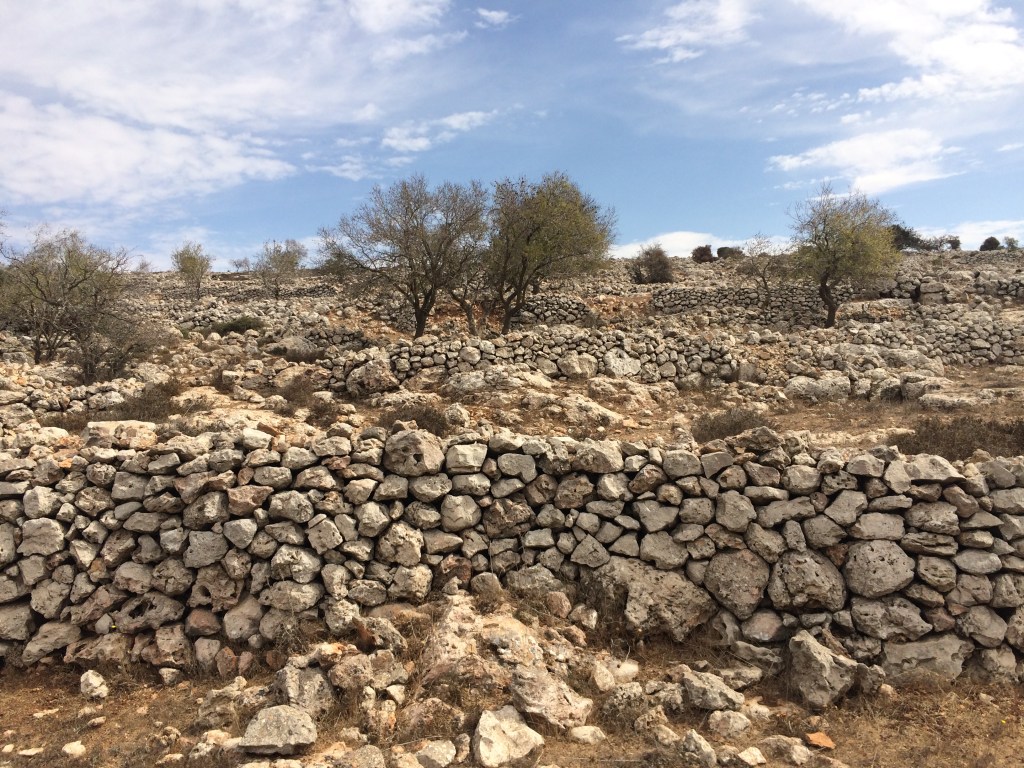 Introduction to Sanasel: Dry-Stone Walls in&nbsp;Palestine*